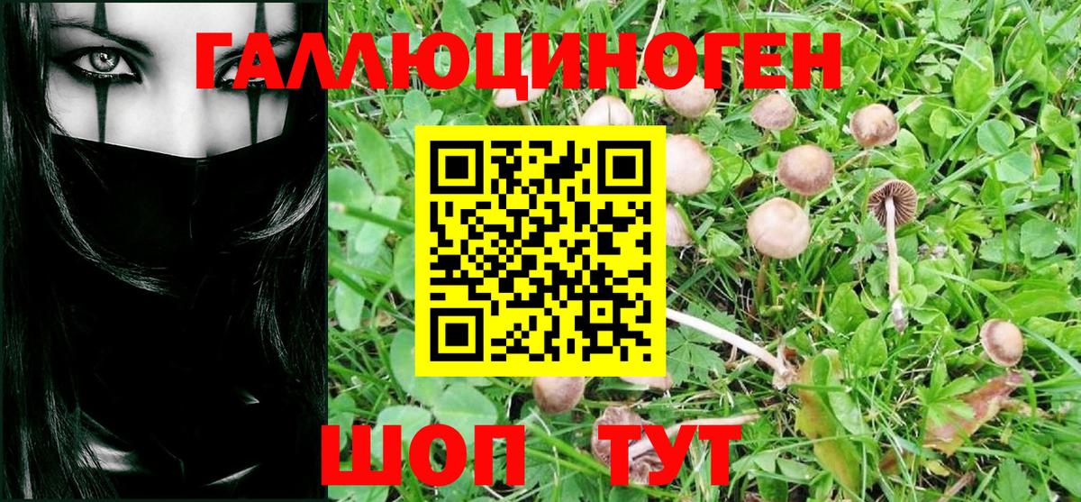 Псилоцибиновые грибы GOLDEN TEACHER Новочеркасск