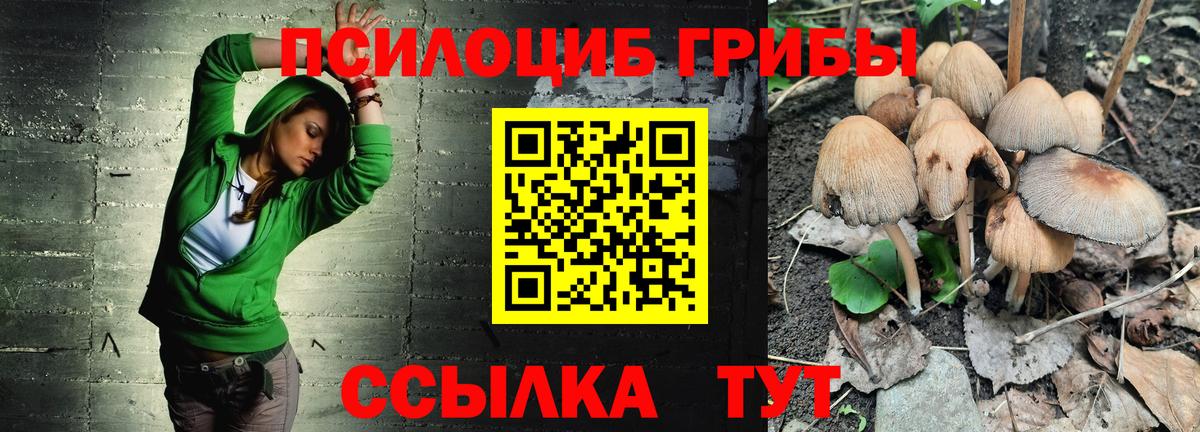 Новочеркасск  Псилоцибиновые грибы мухоморы  Вход с VPN  Галлюциногенные грибы прущие грибы 
